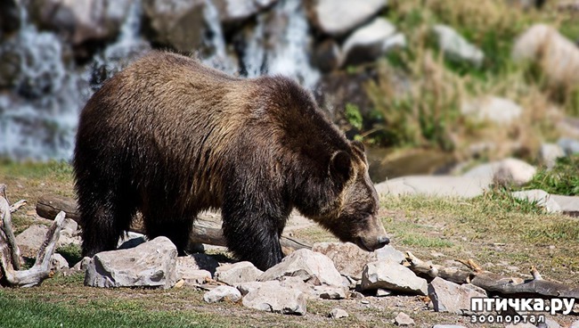 ���� 1: �� ��������� � ����� ��������!