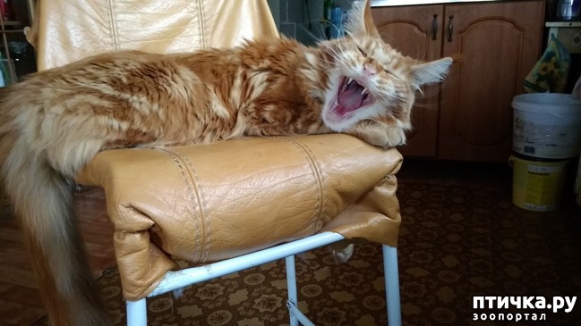 ���� 8: ��� �������)