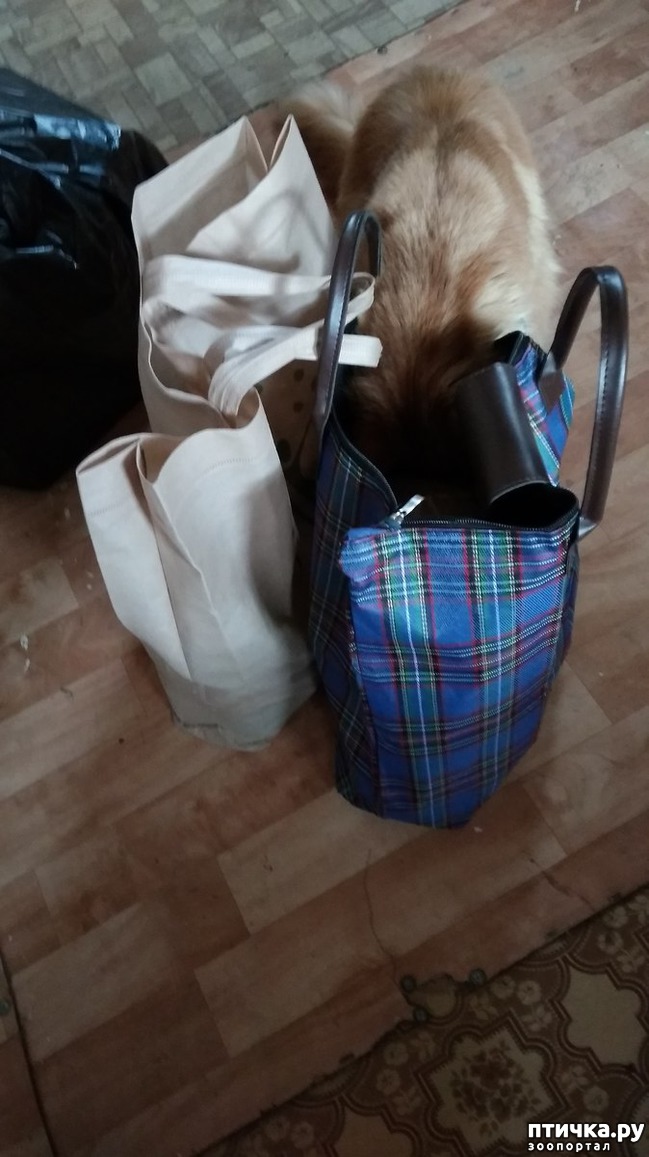 ���� 10: ��� �������)