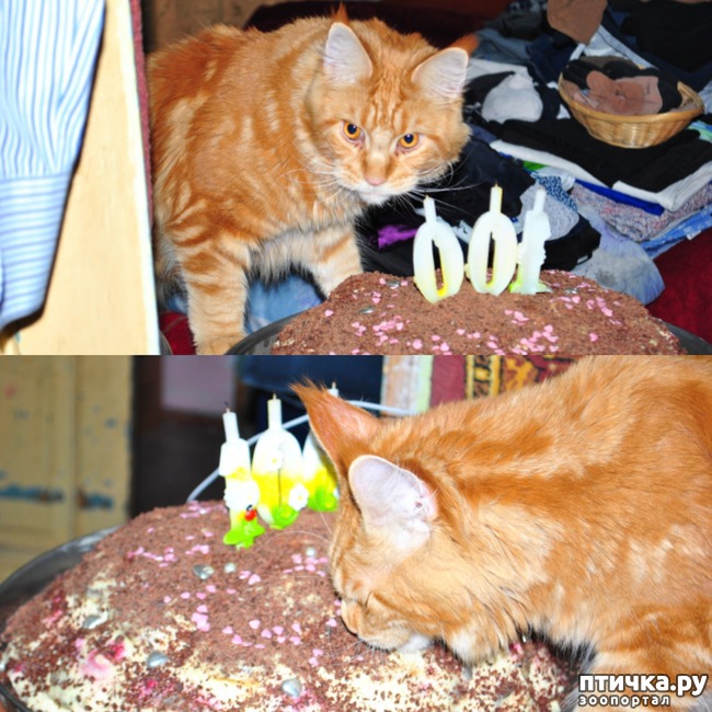 ���� 12: ��� �������)