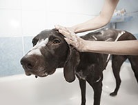 ���� 2: ����� ������� ����� ������.