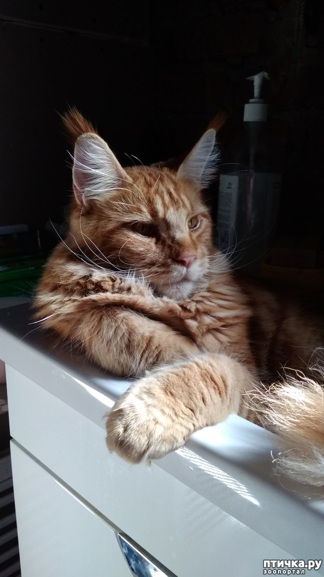 ���� 1: ��� �������)