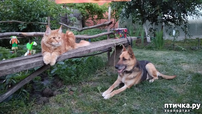 ���� 2: ��� �������)