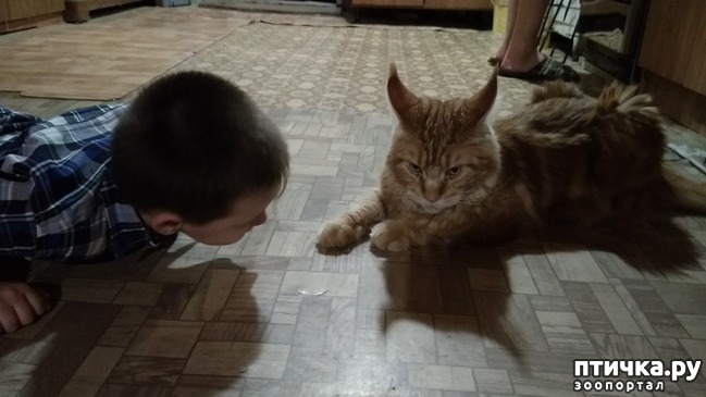 ���� 3: ��� �������)