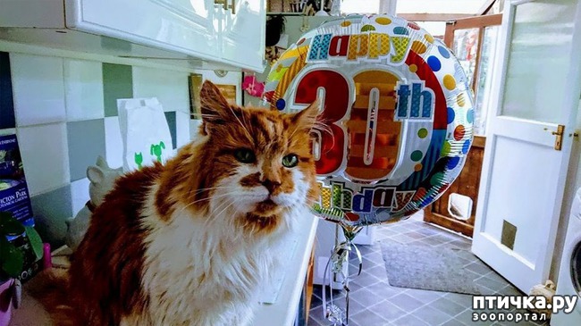 ���� 2: ����� ����� ����� � ���������!