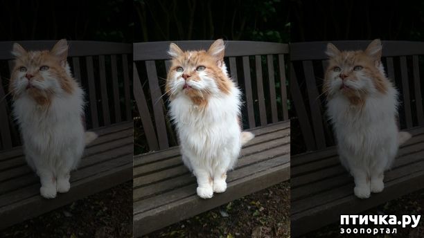 ���� 4: ����� ����� ����� � ���������!