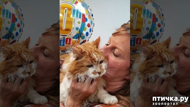 ���� 5: ����� ����� ����� � ���������!