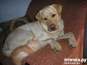 ����: ��� ������...