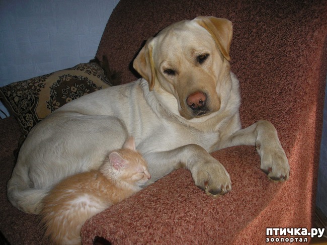 ���� 1: ��� ������...