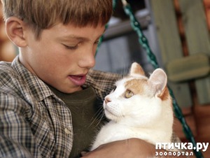 ����: ������ ������