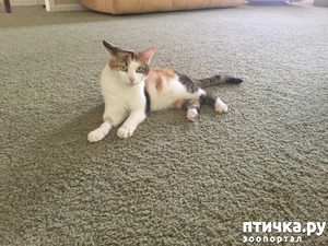 ����: ����� ���������� ���� ������