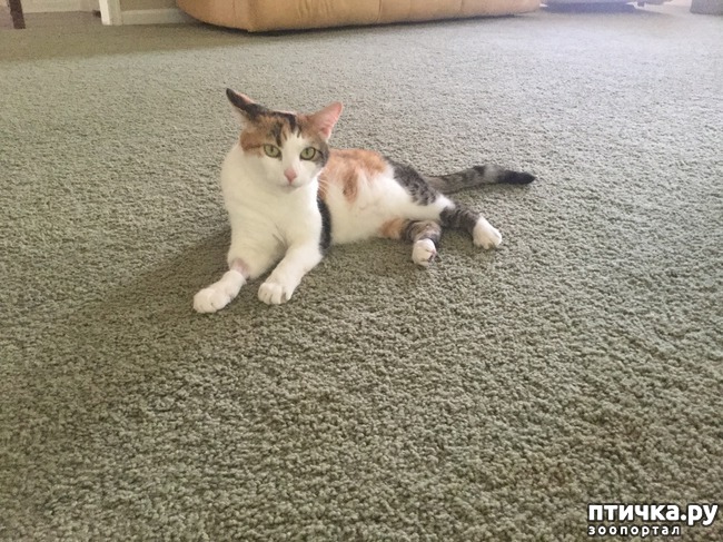 ���� 1: ����� ���������� ���� ������