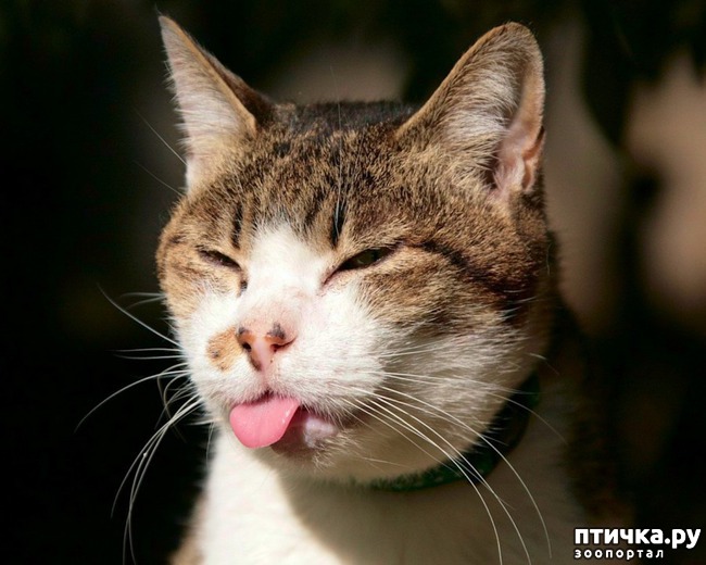 ���� 1: ������� ������� ��� �����