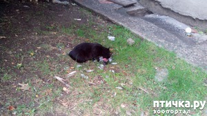 ����: ������ �� �����