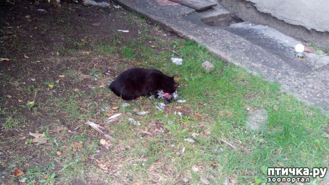 ���� 1: ������ �� �����