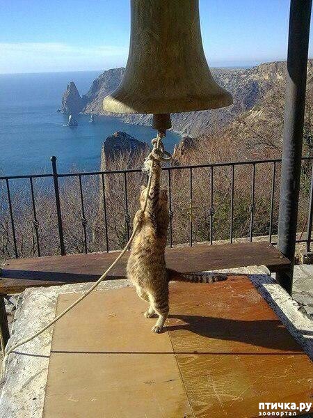 ���� 1: �������