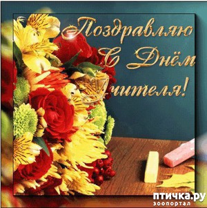 ����: �����������: � ���� �������!!!