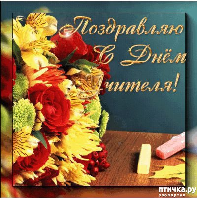 ���� 1: �����������: � ���� �������!!!