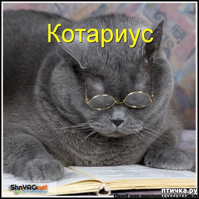 ���� 4: �����������: � ���� �������!!!