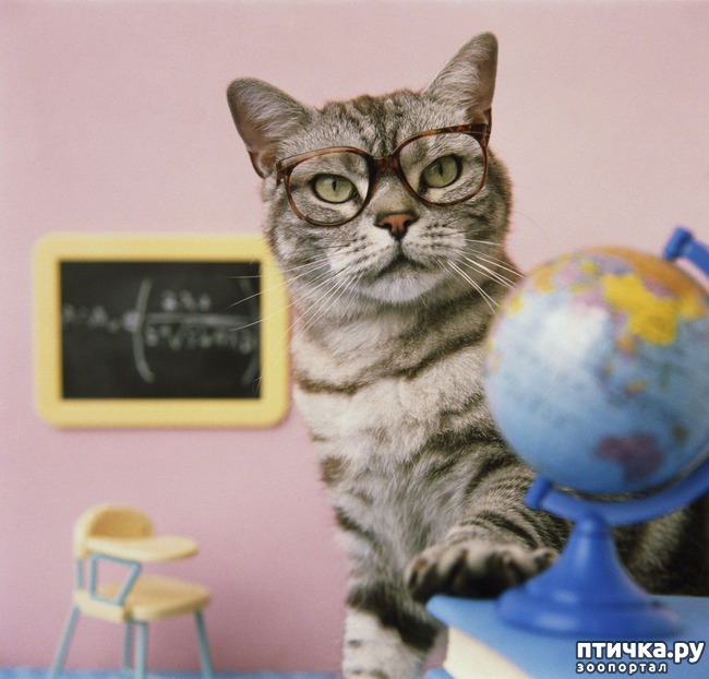 ���� 5: �����������: � ���� �������!!!