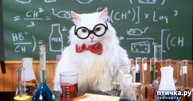 ���� 6: �����������: � ���� �������!!!