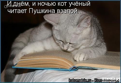 ���� 7: �����������: � ���� �������!!!