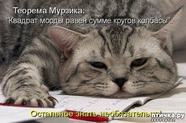 ���� 8: �����������: � ���� �������!!!