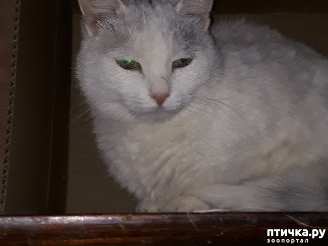 ���� 8: � ���� � �������� ������������