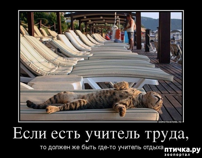 ���� 9: �����������: � ���� �������!!!