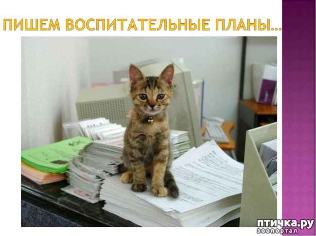 ���� 10: �����������: � ���� �������!!!