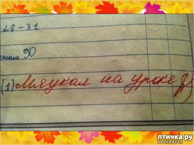 ���� 11: �����������: � ���� �������!!!