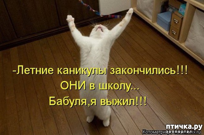 ���� 12: �����������: � ���� �������!!!