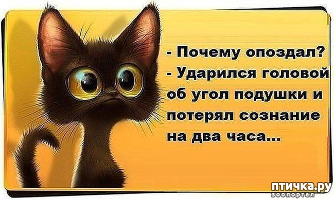 ���� 13: �����������: � ���� �������!!!