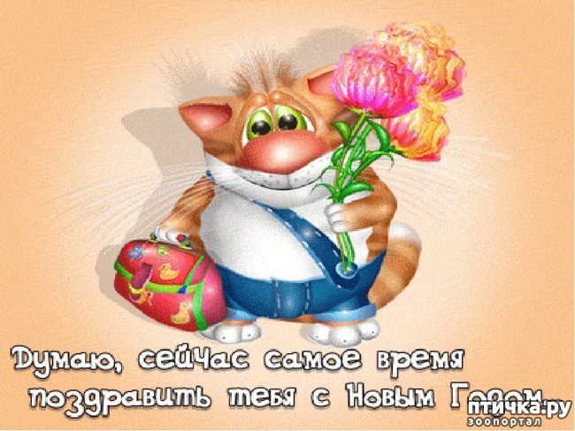 ���� 14: �����������: � ���� �������!!!