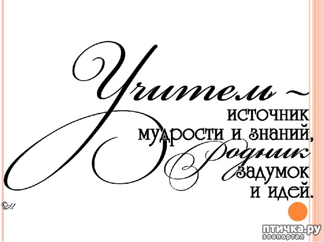 ���� 15: �����������: � ���� �������!!!