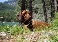 ���� 2: ����������������� ����� ��������