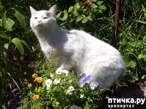 ����: � ���� � �������� ������������