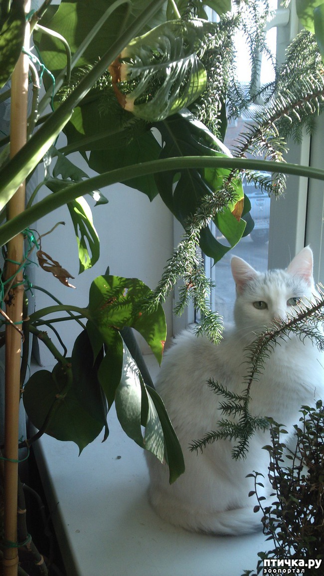 ���� 2: � ���� � �������� ������������