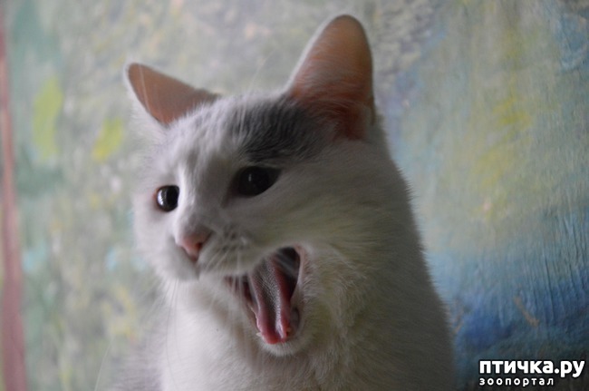 ���� 4: � ���� � �������� ������������