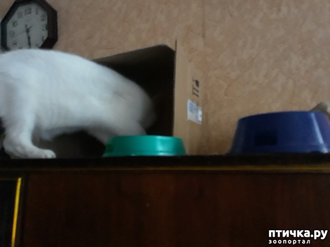 ���� 7: � ���� � �������� ������������