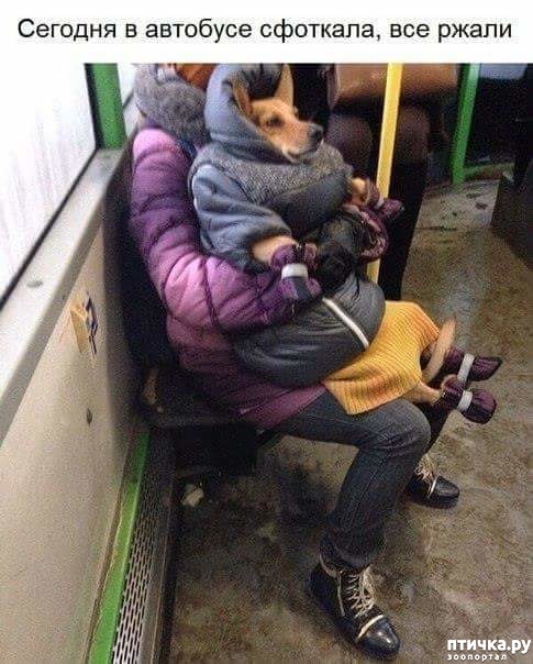 ���� 1: � ��������