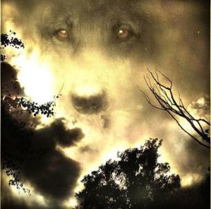 ����: ��� ������ ������ ����...