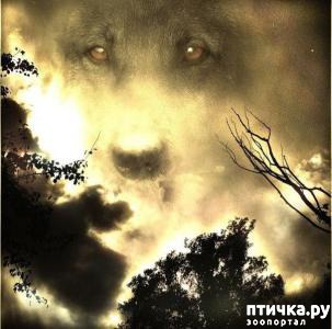 ���� 1: ��� ������ ������ ����...