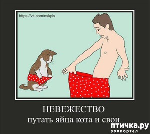 ����: ���������