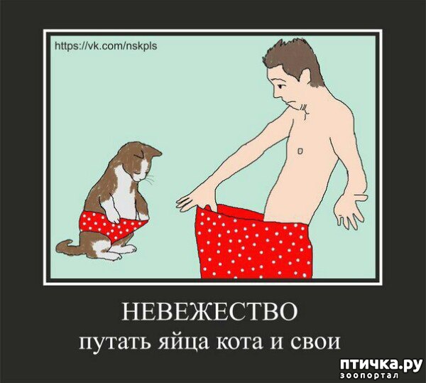 ���� 1: ���������