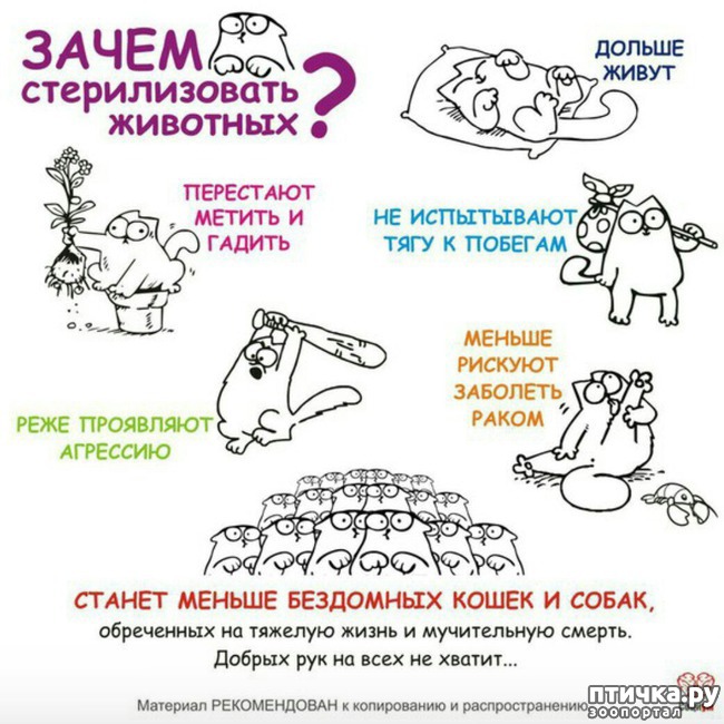 ���� 2: ���������