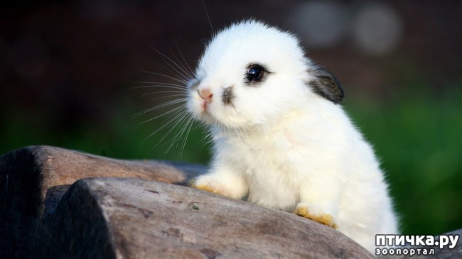 ���� 5: ���������� ����� ��������