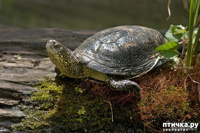 ���� 3: ���������� ����� ��������