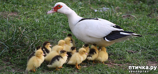 ���� 14: ���������� ����� ��������