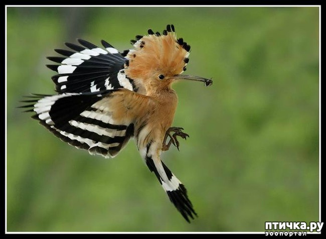 ���� 12: ���������� ����� ��������